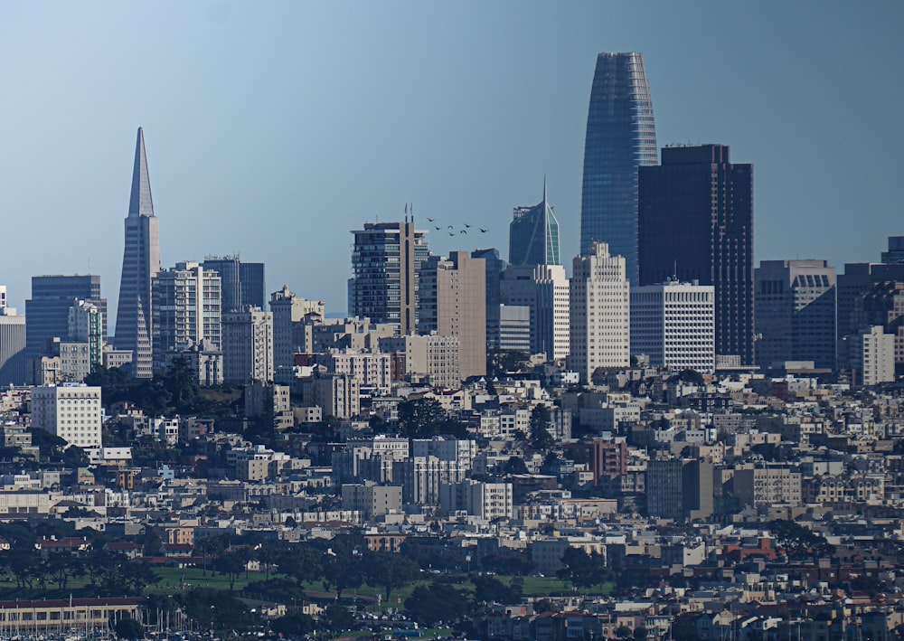 top view of high-rise and mid-rise buildings