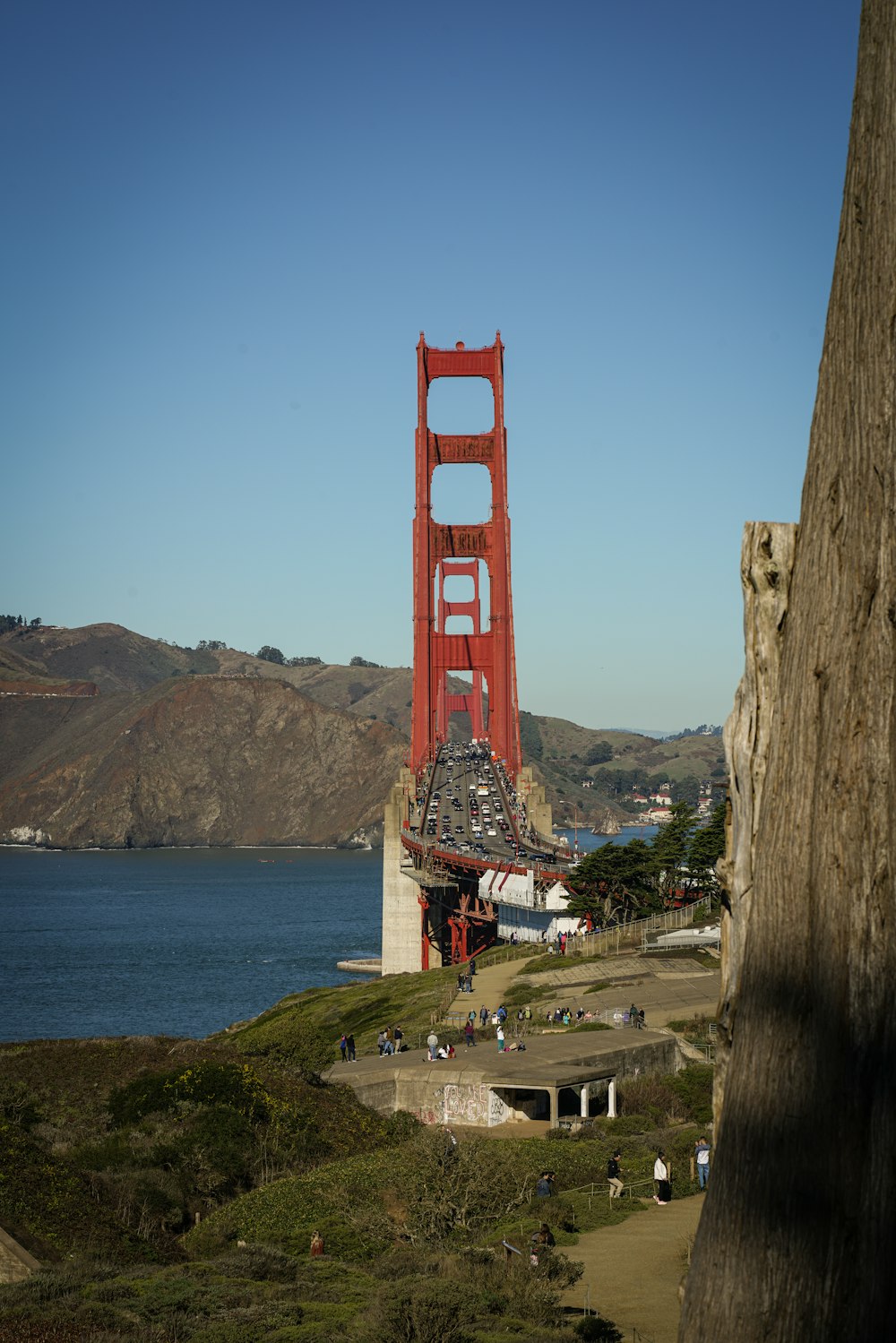 shallow focus photo of brown bridge during dayime