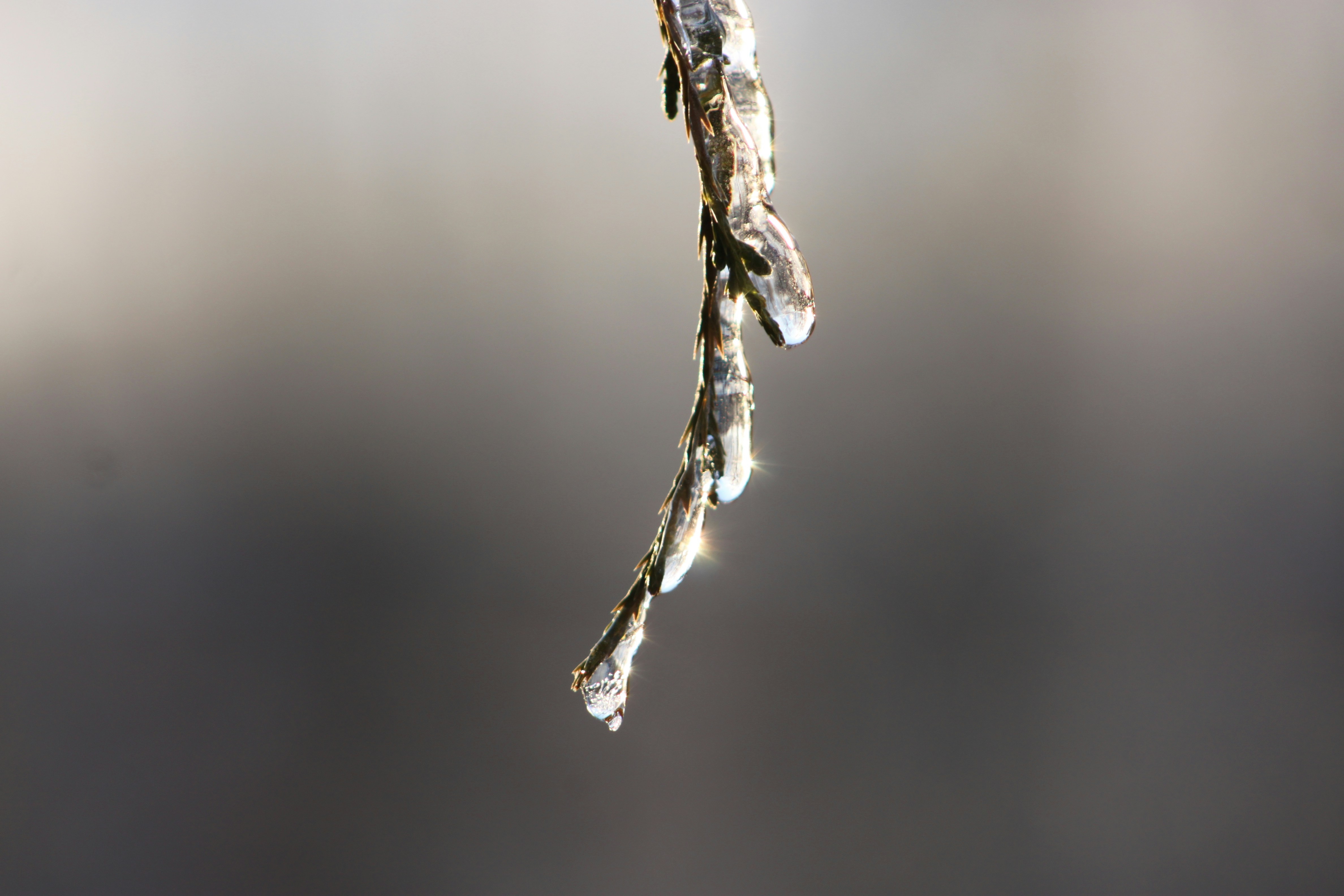 Photo by franciscojesus