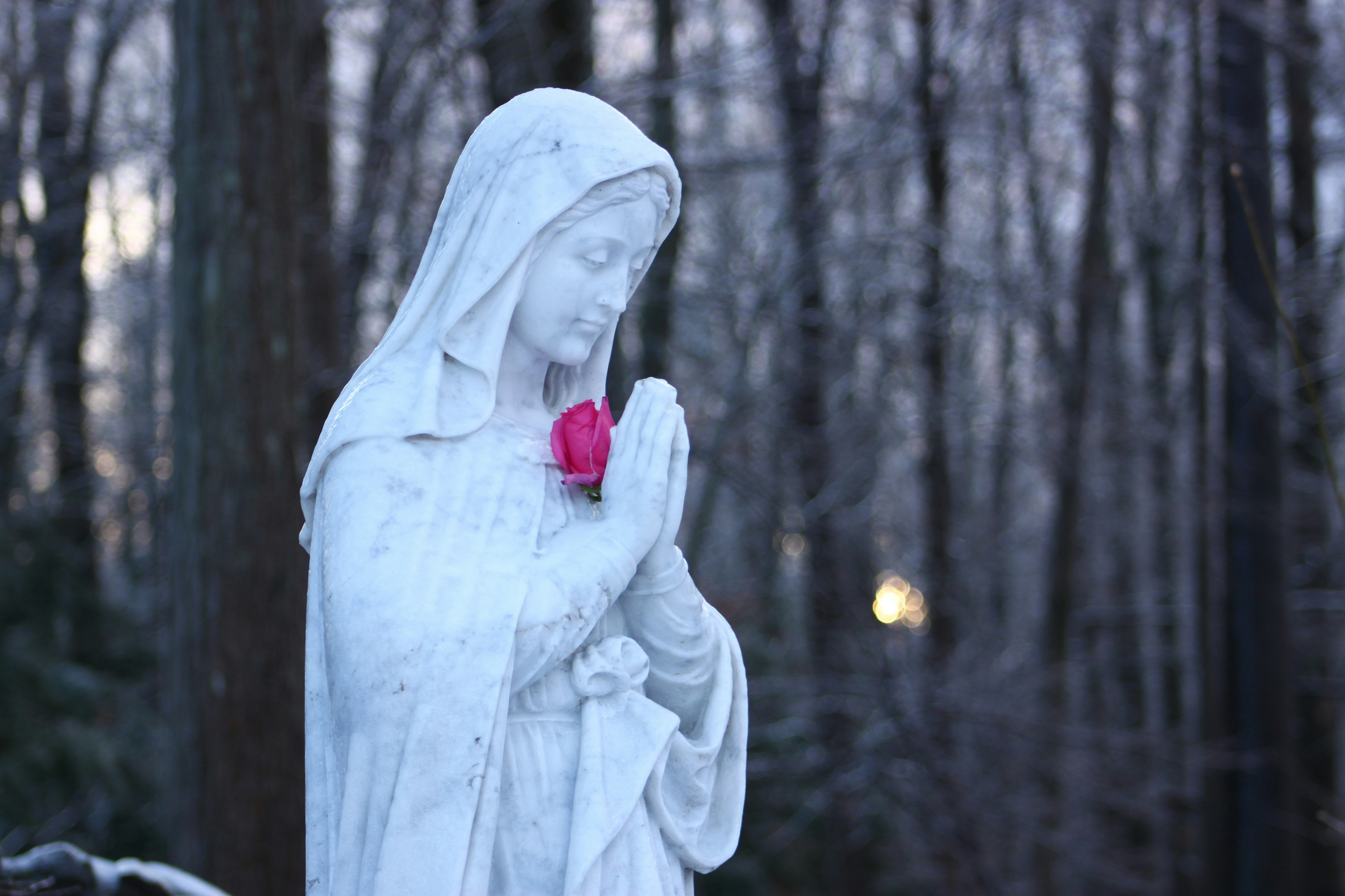 Photo by franciscojesus