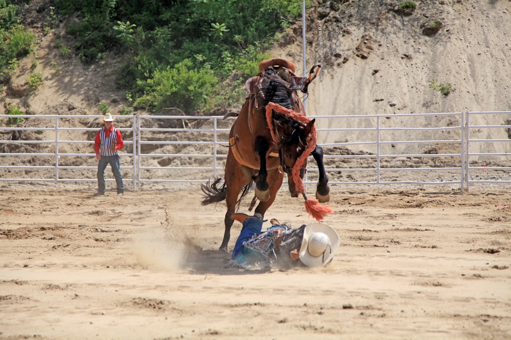 cowboy on the ground beside horse