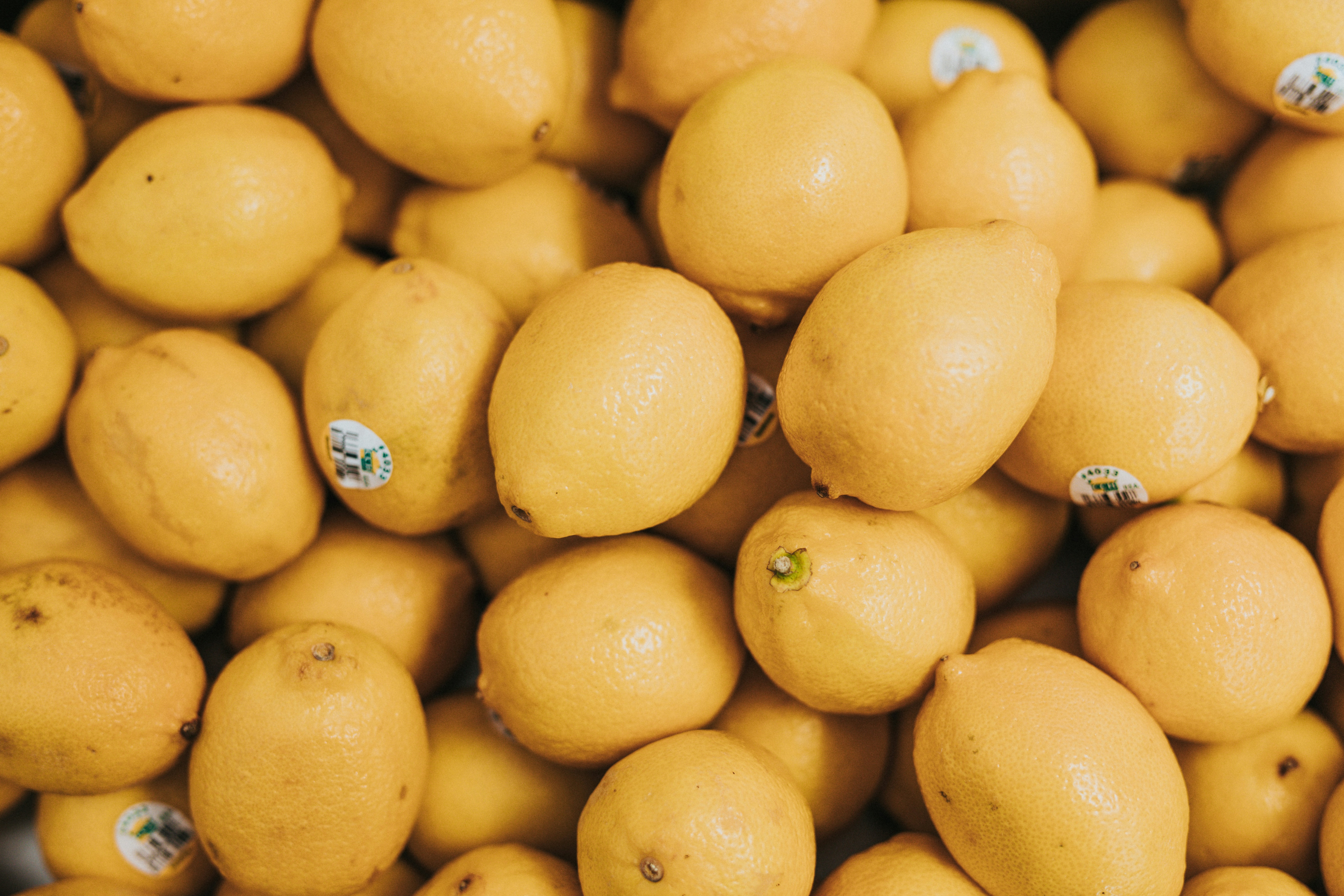 Photo by nate_dumlao