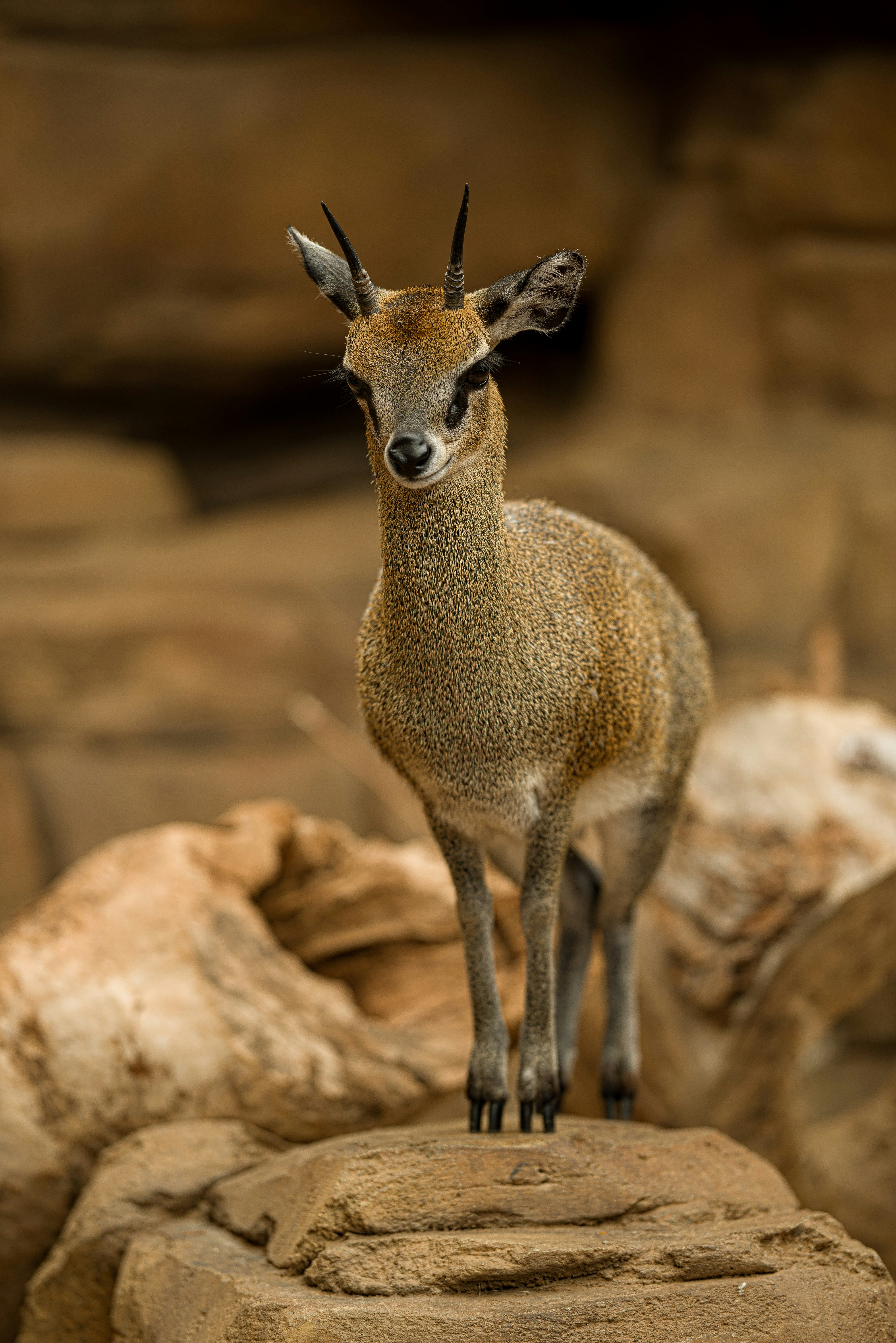 Photo by brianstalter