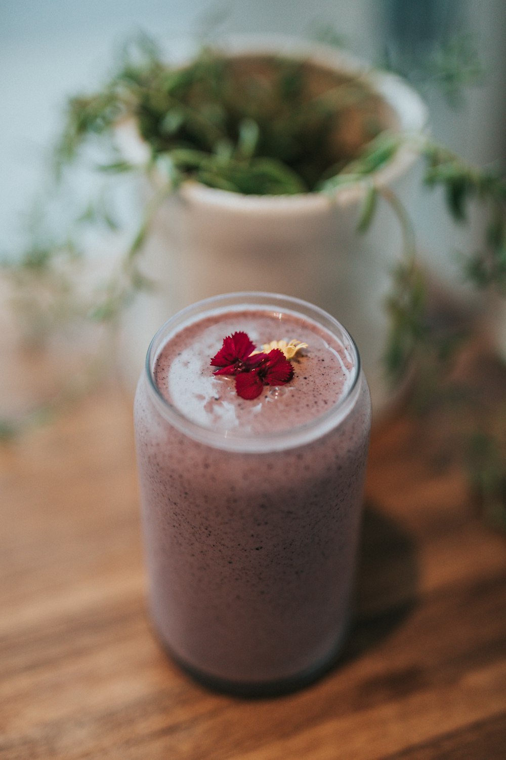 beverage filled drinking glass beside plant in pot