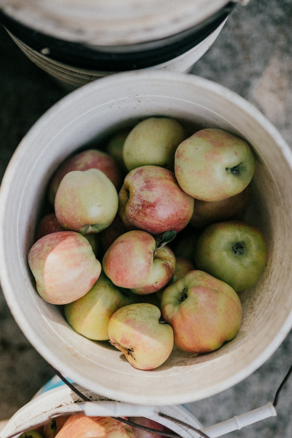 bowl of apples