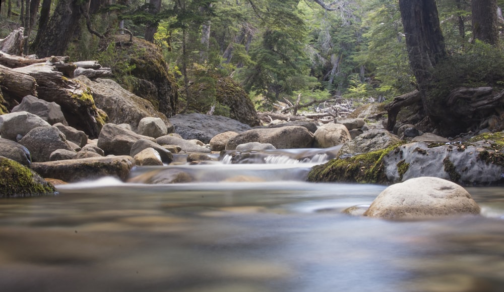 timelapse photo of water flowing on rocks between trees