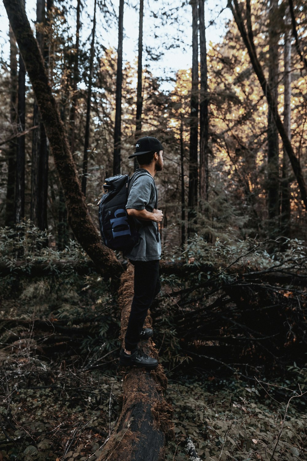 man carrying backpack while standing on fallen tree