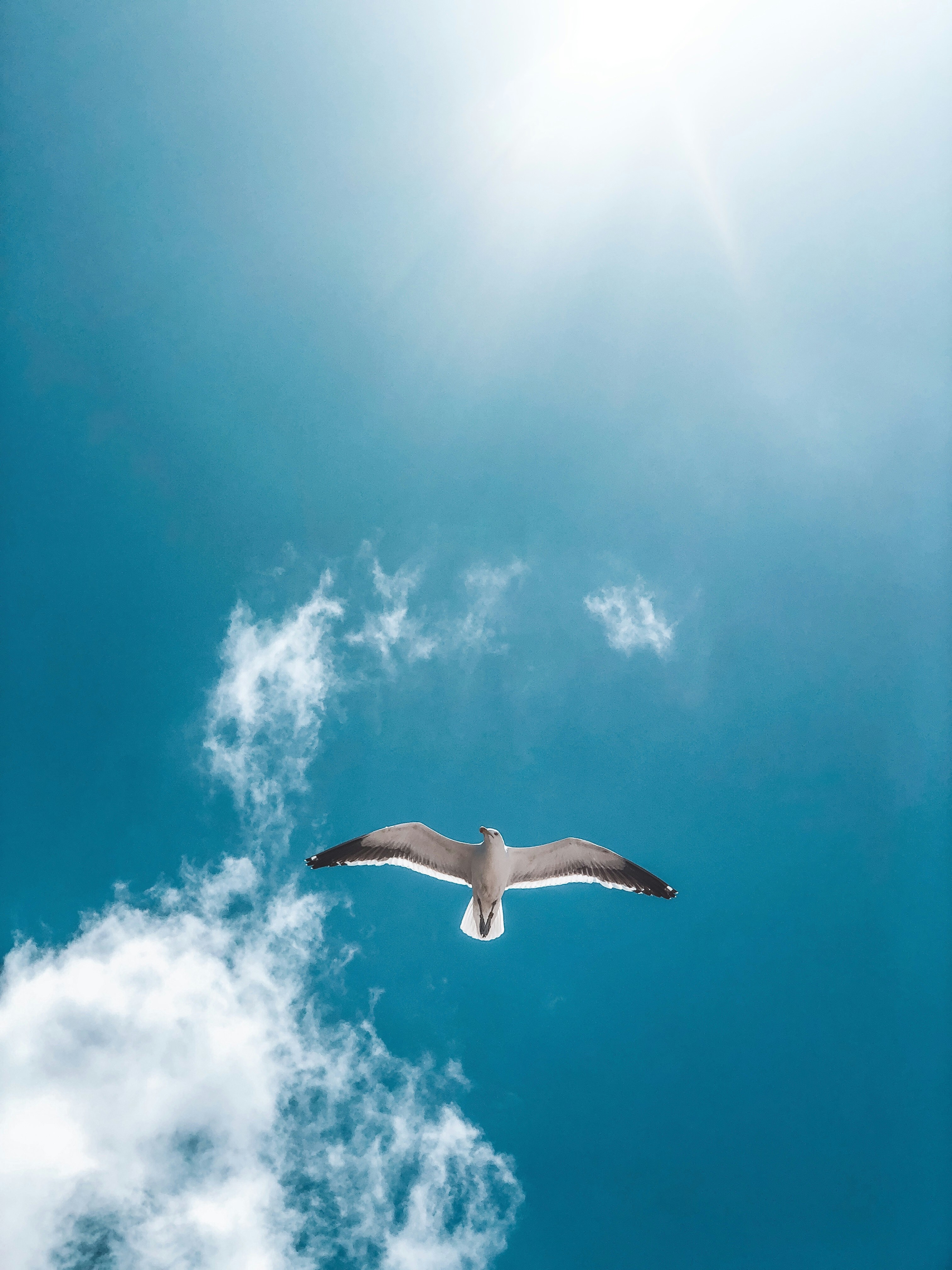 Photo by capetown_guy