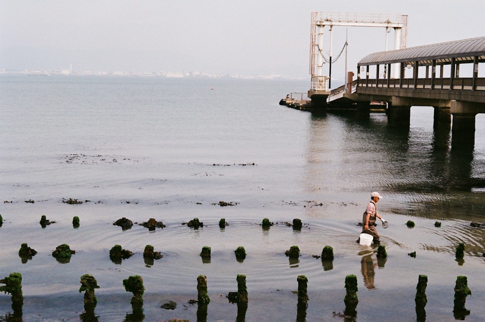 person walking on shore