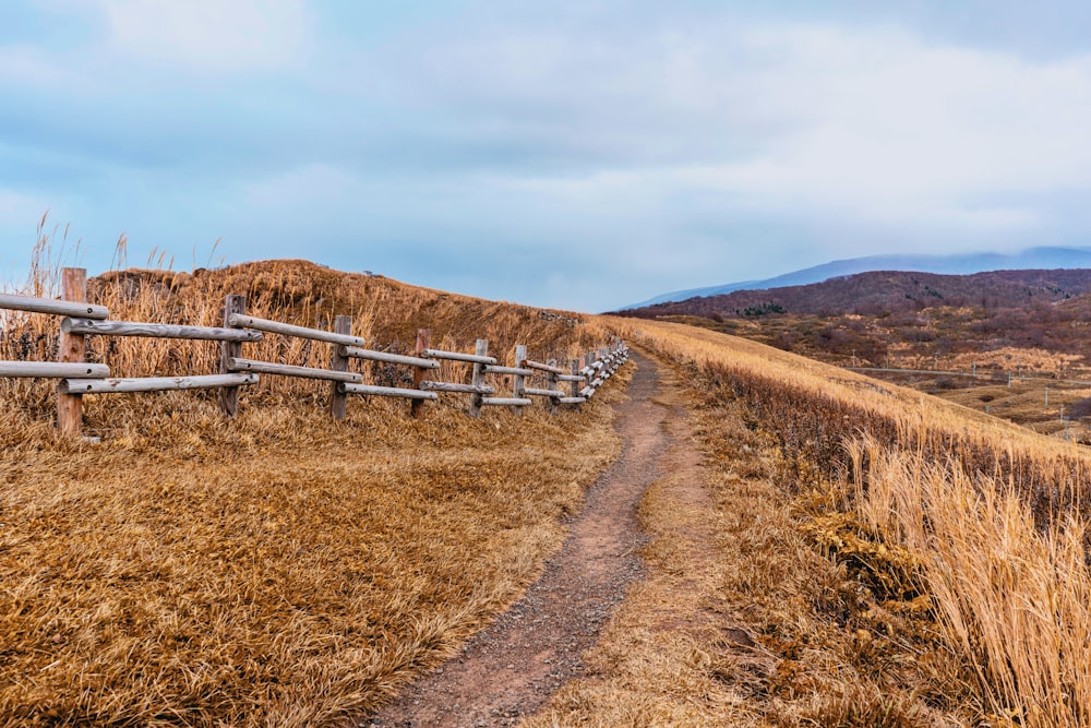 railing and grass field during day