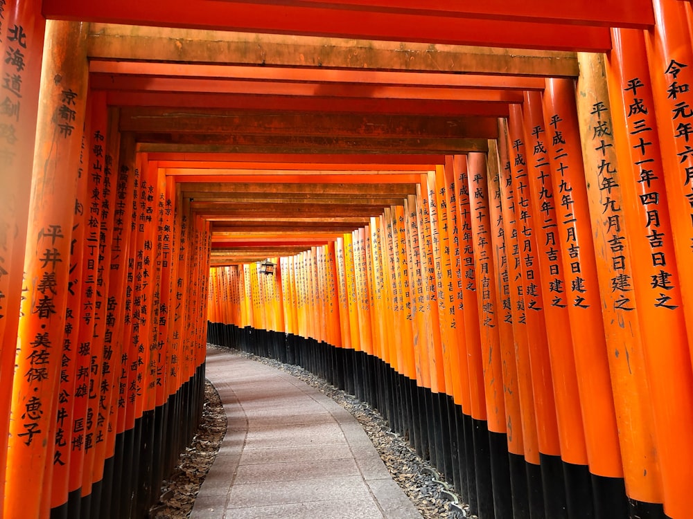 orange painted wall