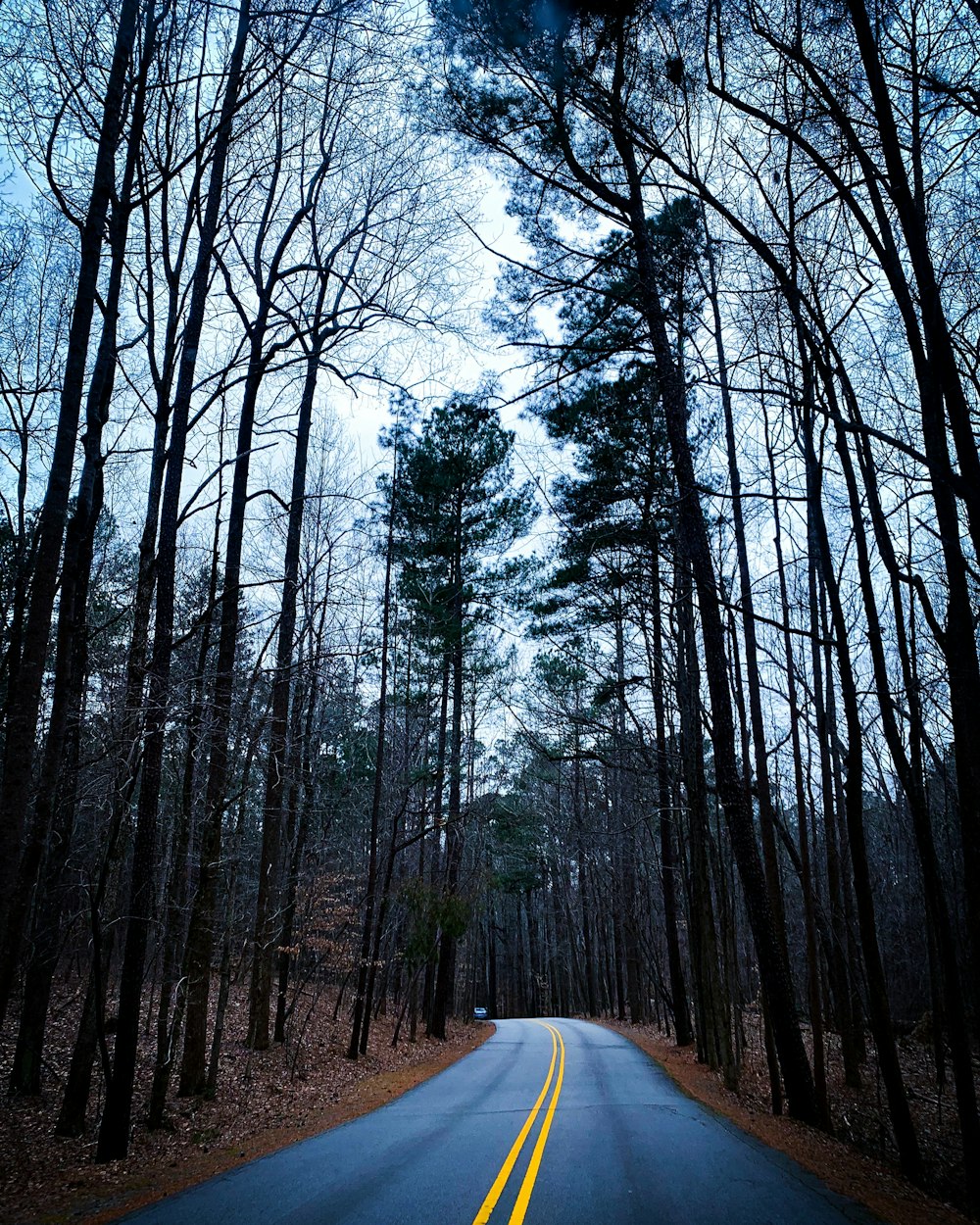 curved road