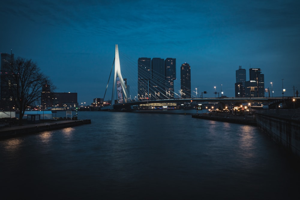 cityscape during nighttime