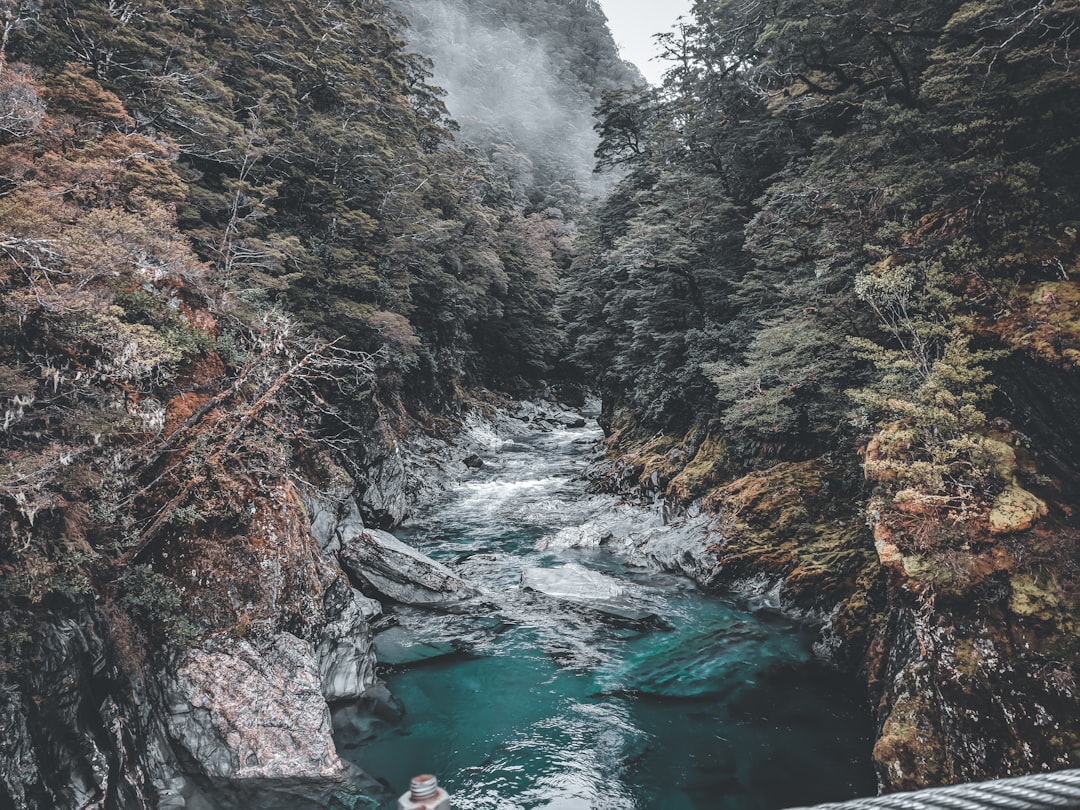 photo of New Zealand Watercourse near Nelson Lakes National Park