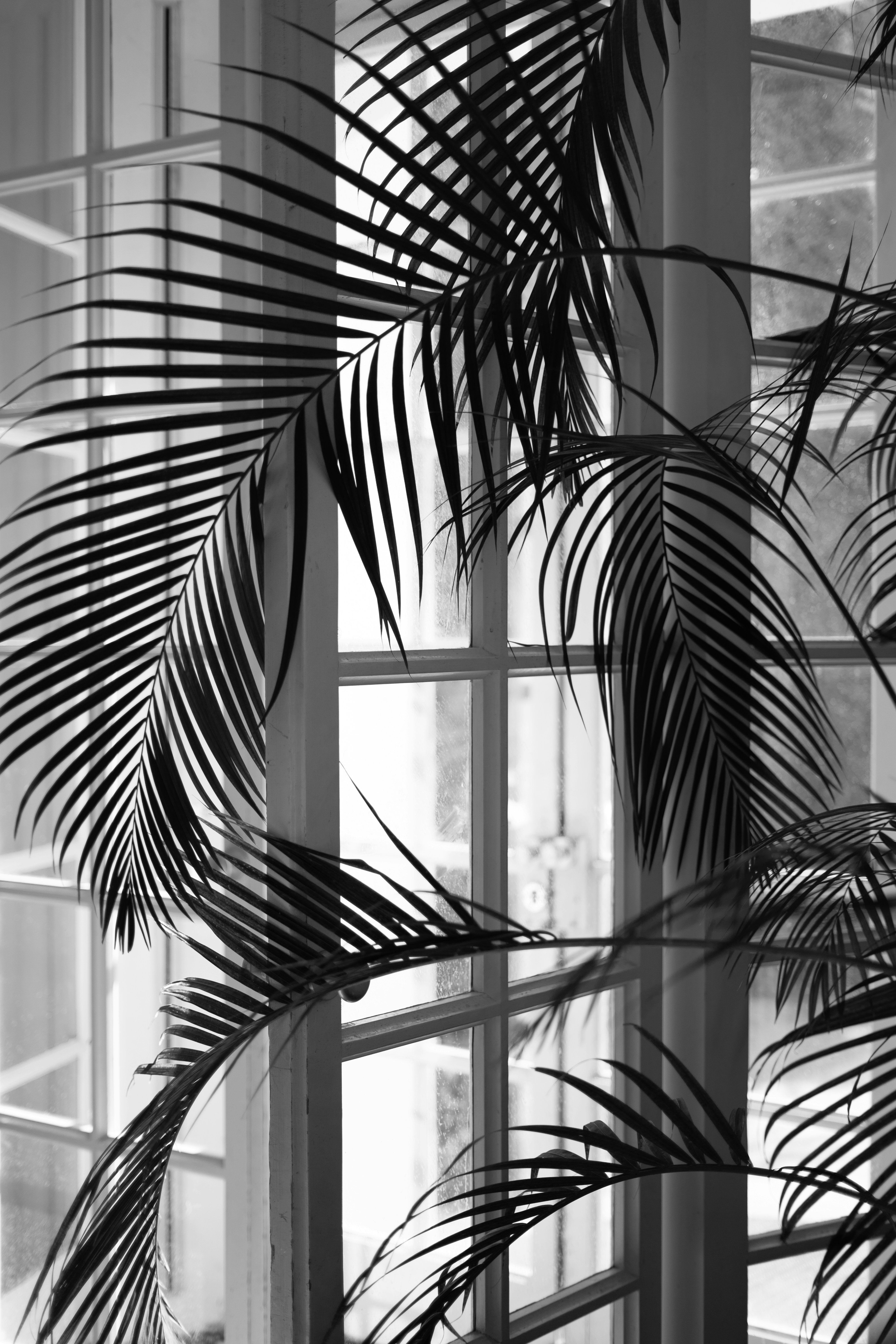 Photo by satriahutama