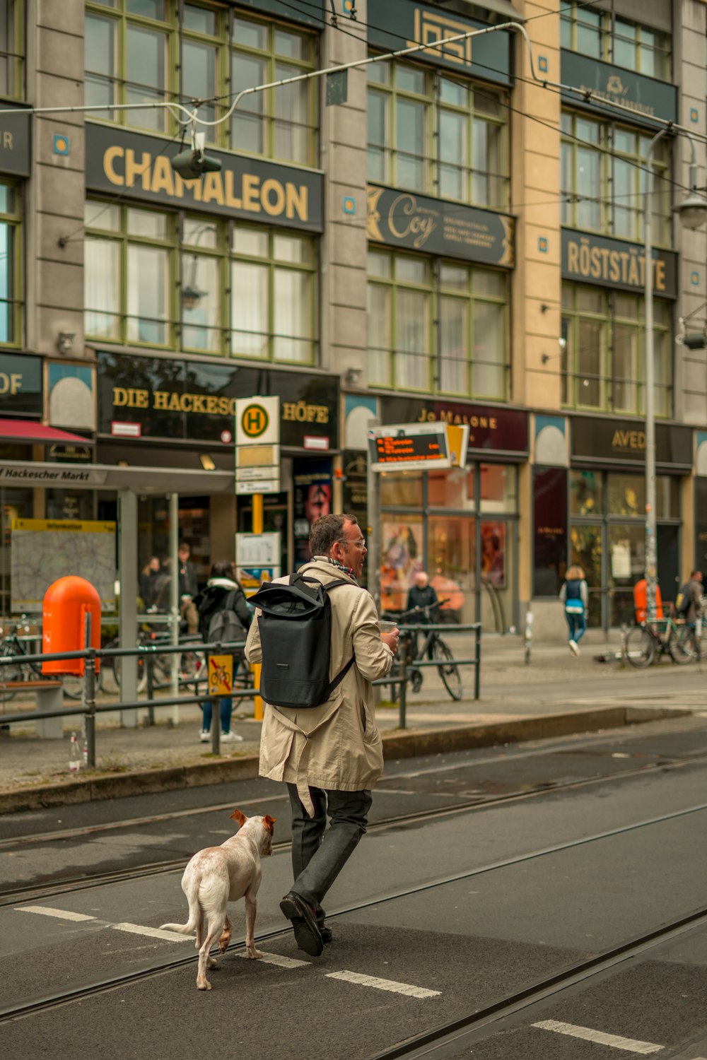 Foto eines Mannes im grauen Mantel, der neben einem Hund spazieren geht