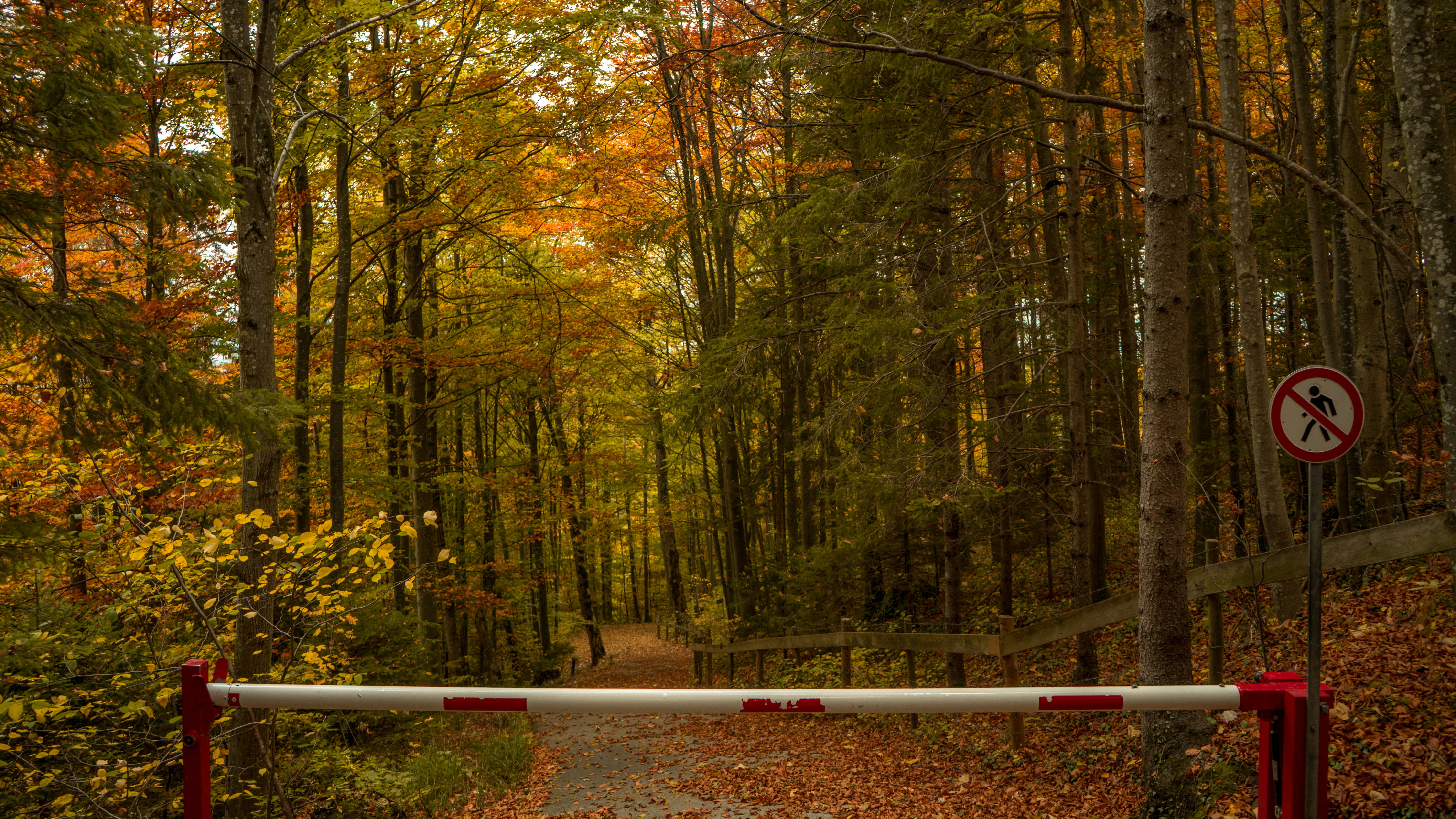 Photo by satriahutama