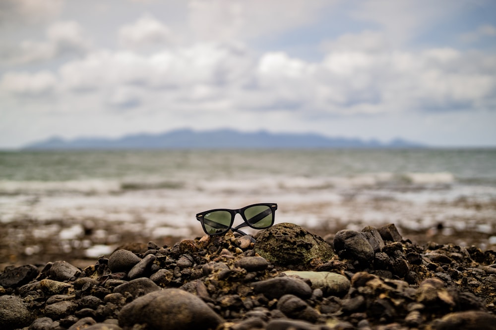 shallow focus photo of black wayfarer sunglasses