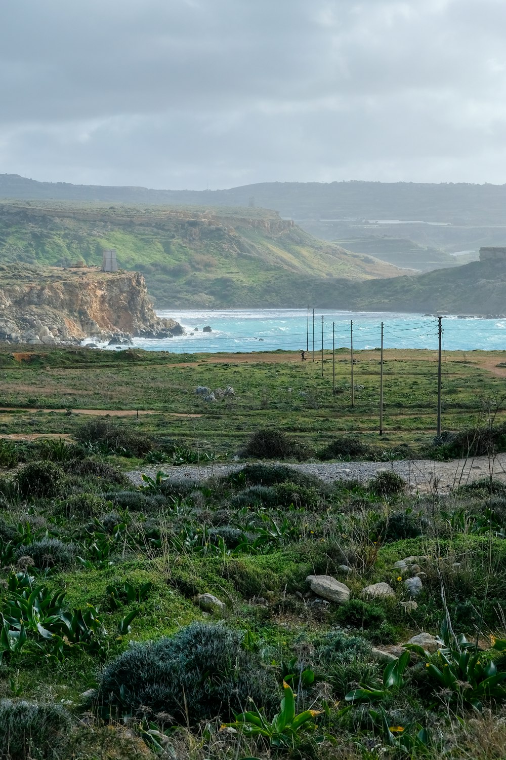 rocky and plant field and body of water during day