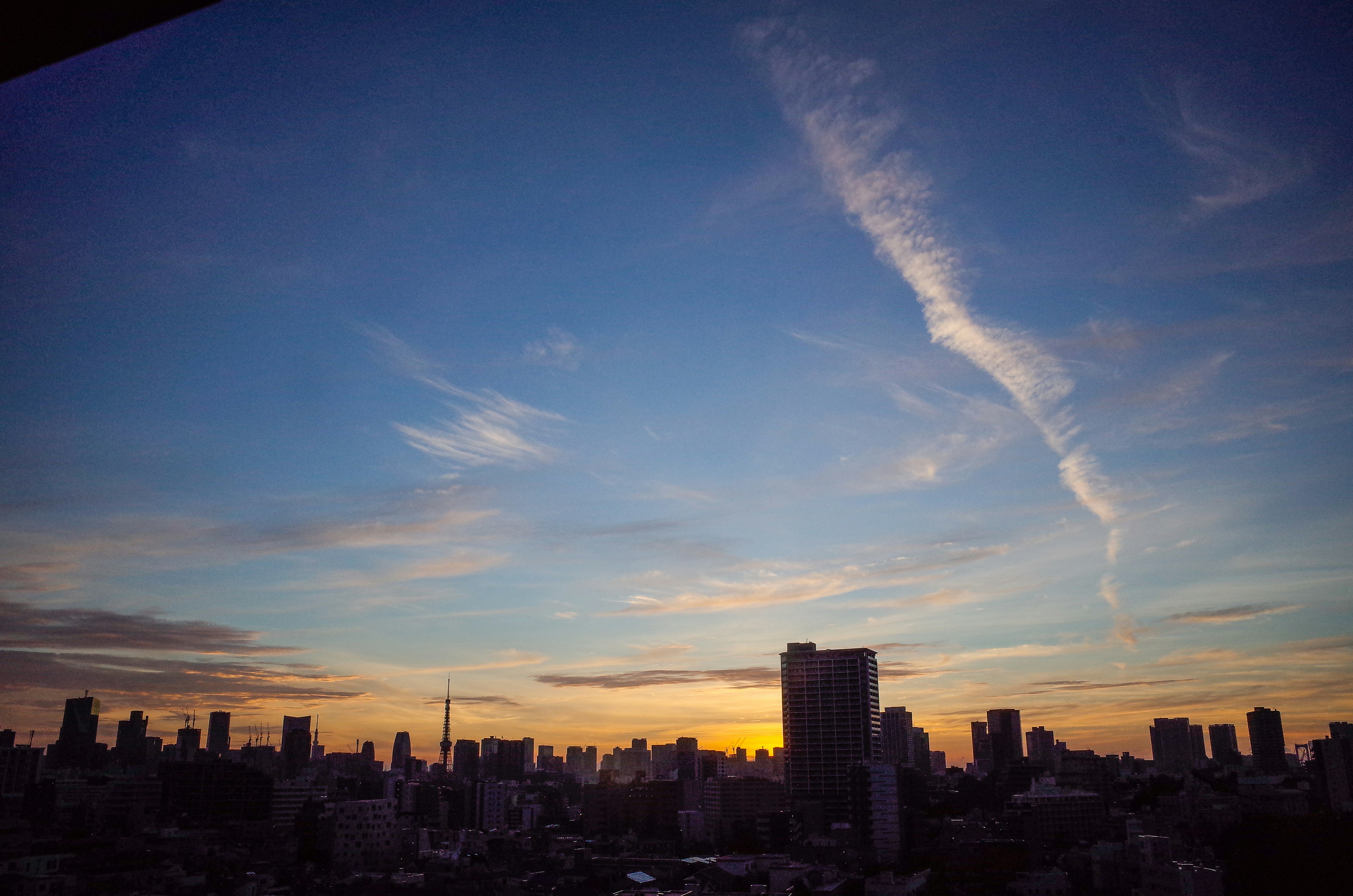 silhouette of cityscape during daytime