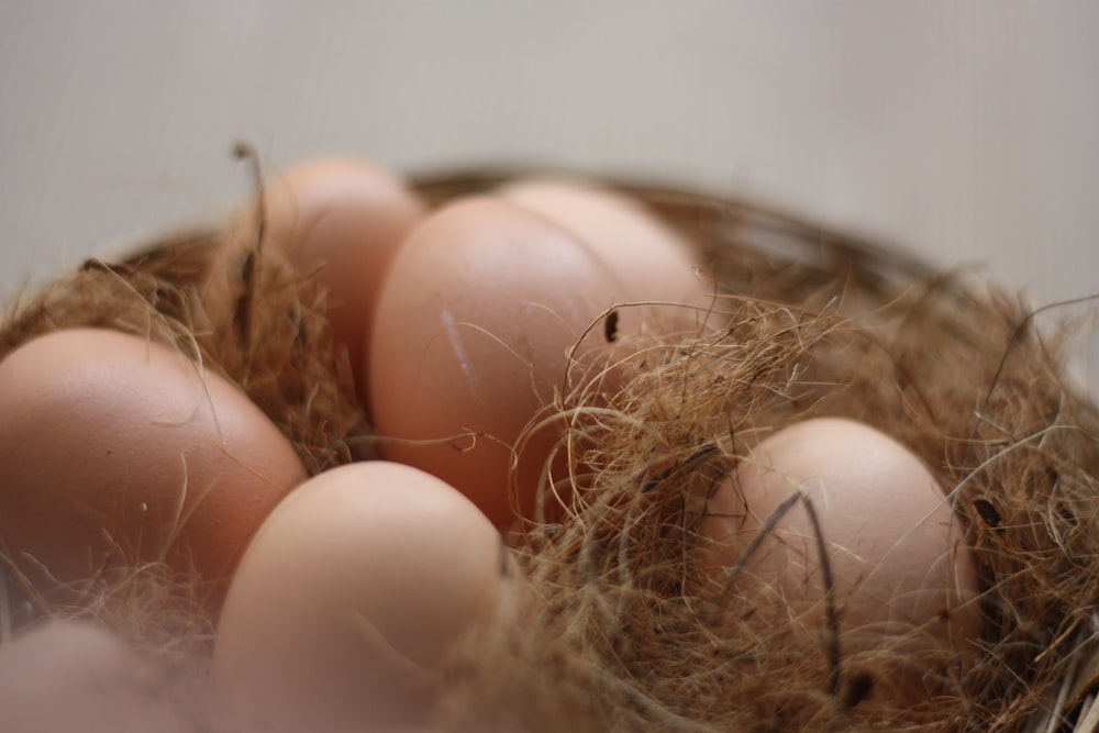 shallow focus photo of brown eggs