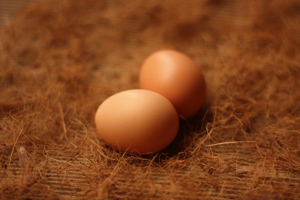 shallow focus photo of two brown eggs
