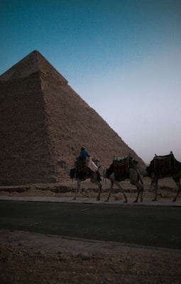 A desert landscape at dusk with the silhouette of a large pyramid in the background. Three camels are walking along a paved road, led by a person wearing a blue top and a headscarf. The scene conveys a sense of ancient history and quietness.
