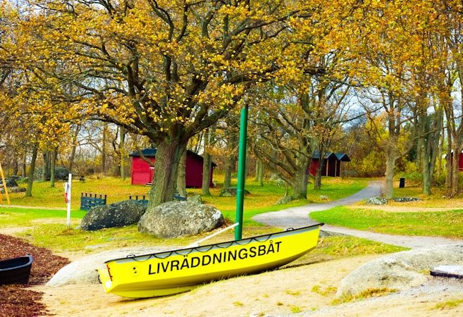 Embracing a New Adventure in Sweden