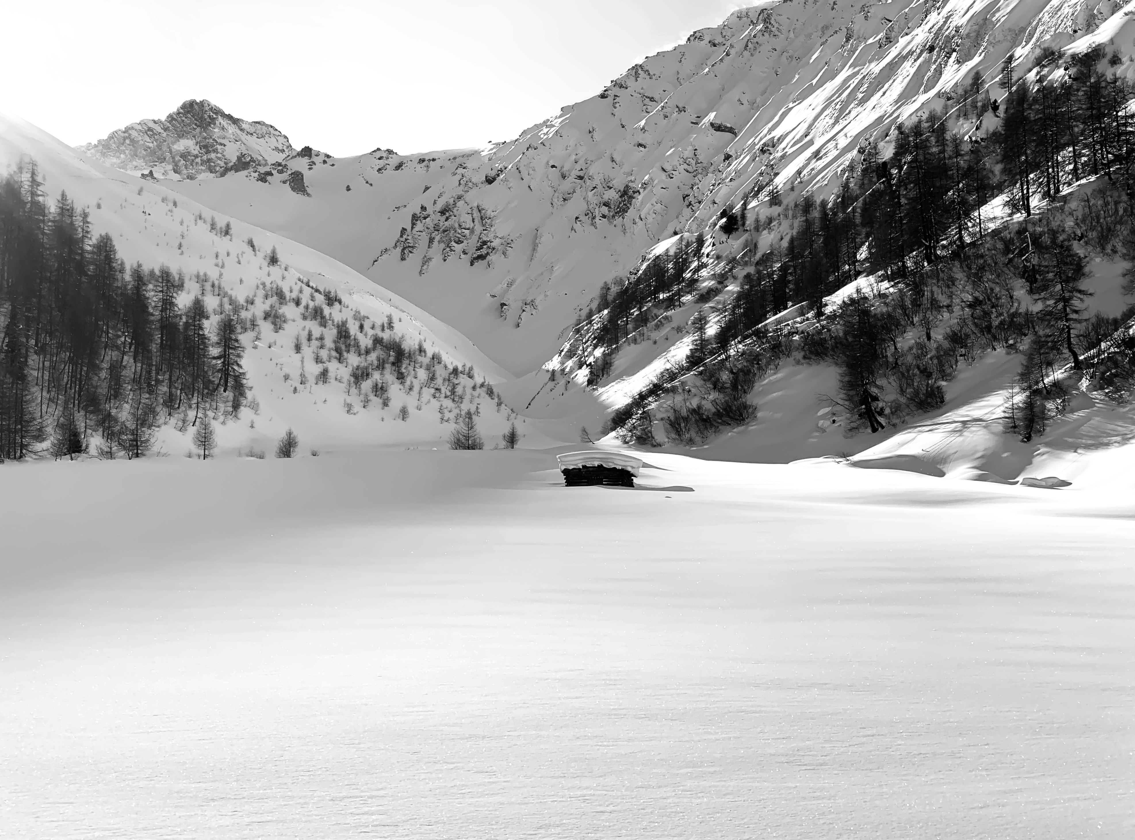 Graustufenfotografie von Haus und Feld mit Schnee bedeckt