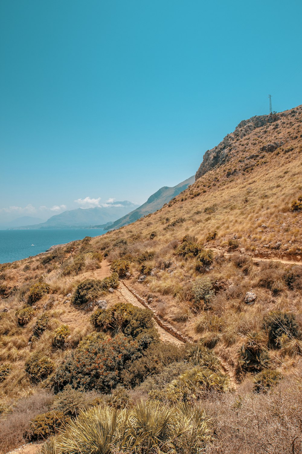 mountains with grass during daytime