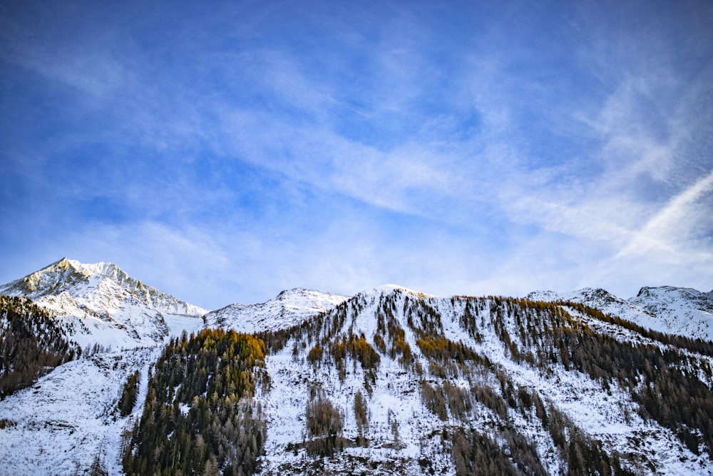 aerial photography of trees and mountain covered with snow under white and blue sky