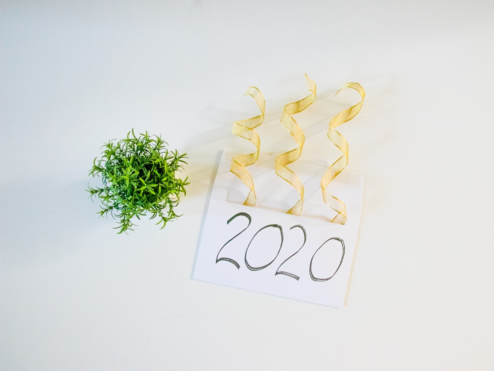 2020 letter beside green plant