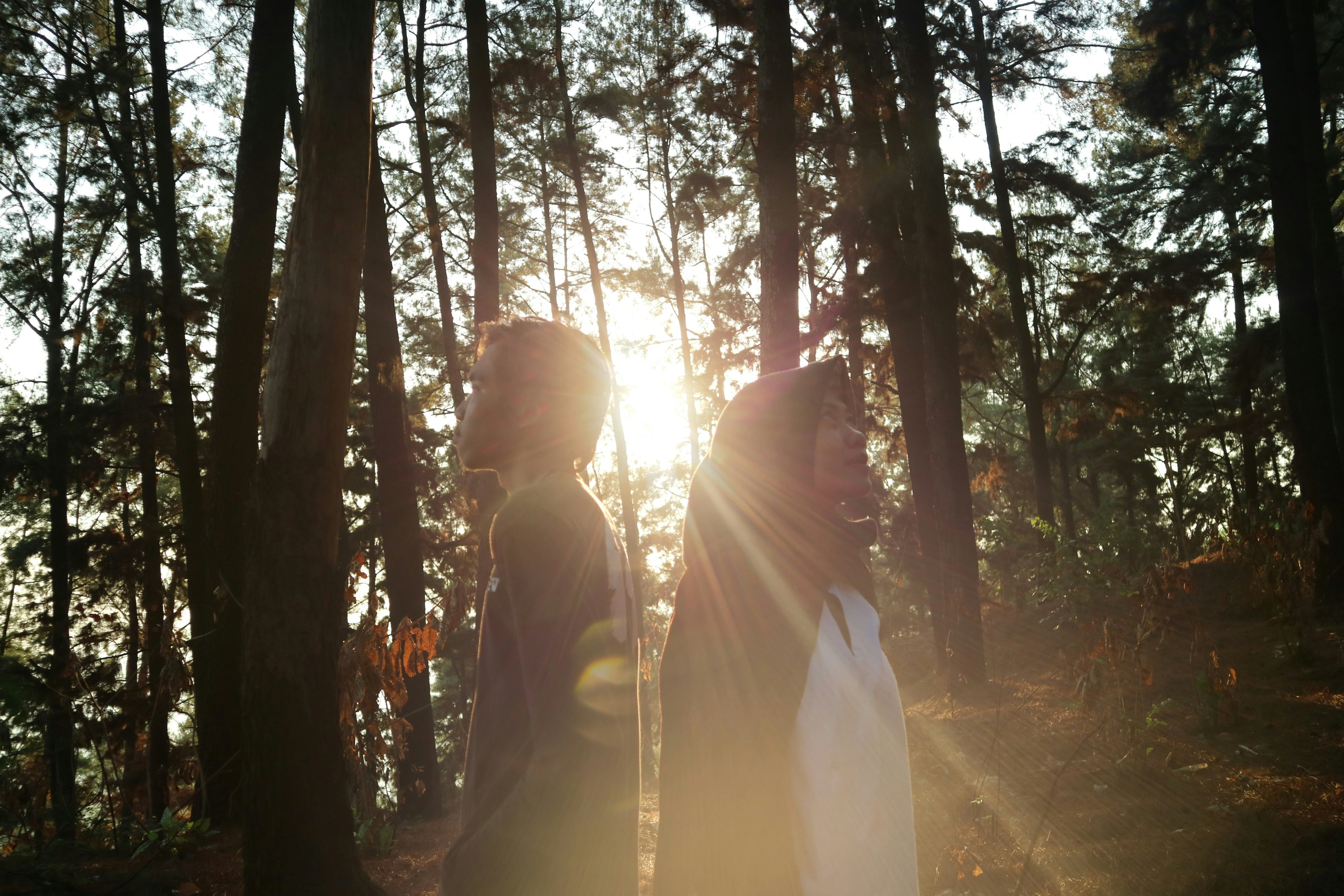 Scry.info header image