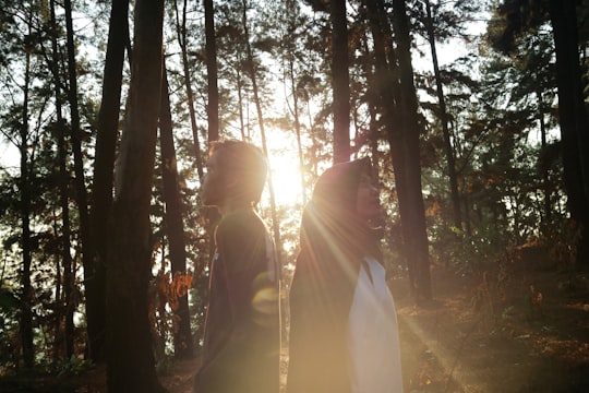 photo of Semarang Forest near gunung sindoro