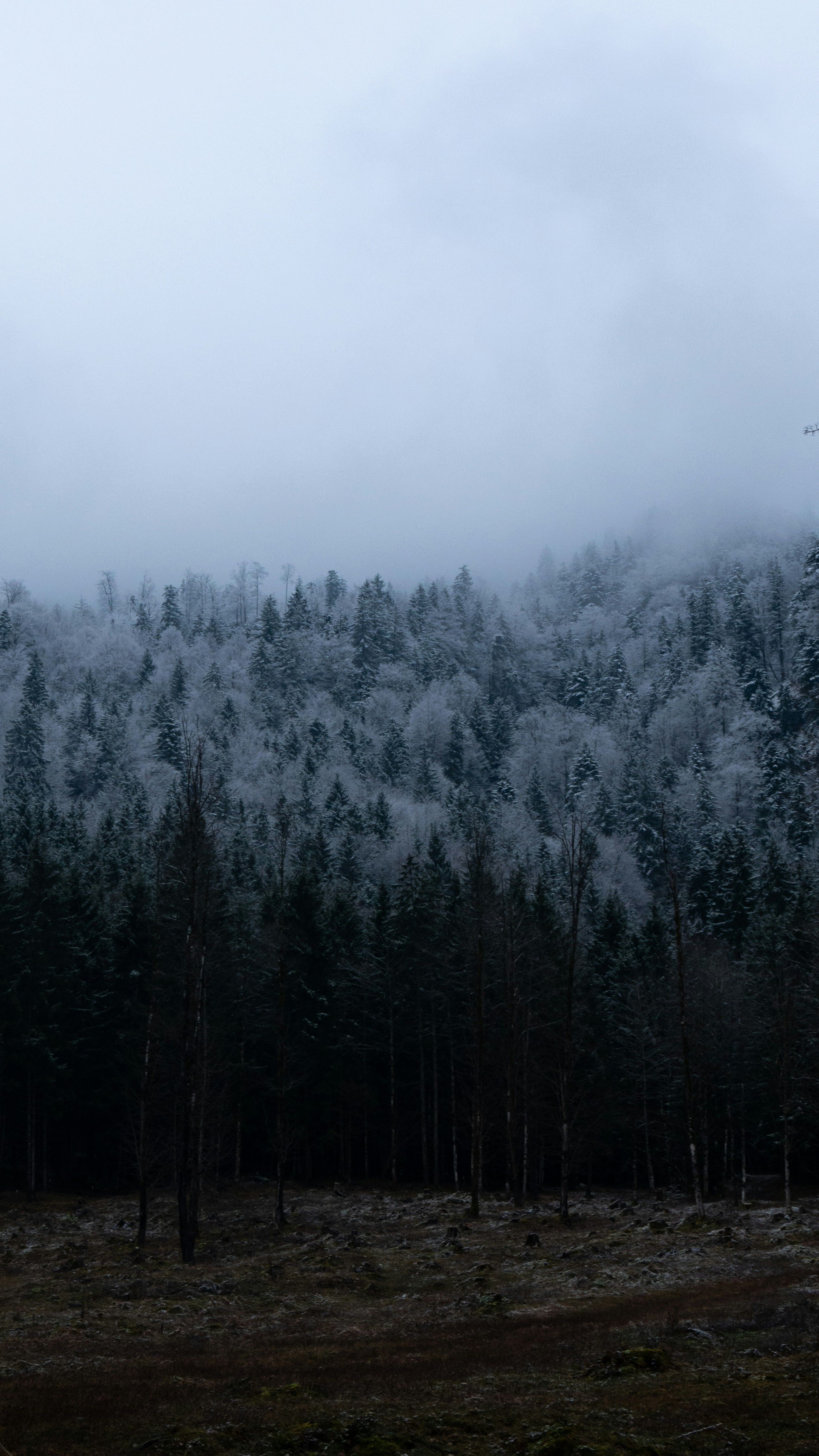 Photo by lucas_friedrich