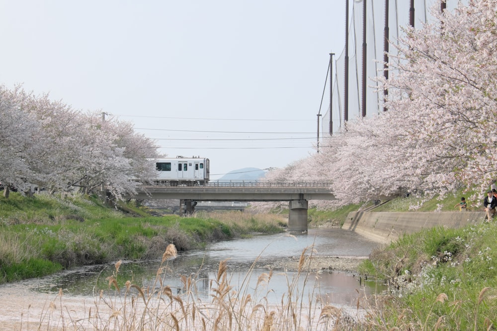 bus passing by a railway along a bridge