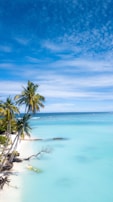 A pristine white sand beach in Punta Cana with palm trees swaying in the breeze.