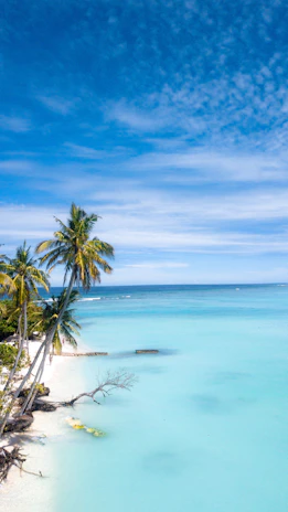 Pristine white sandy beach with turquoise waters and palm trees swaying gently.