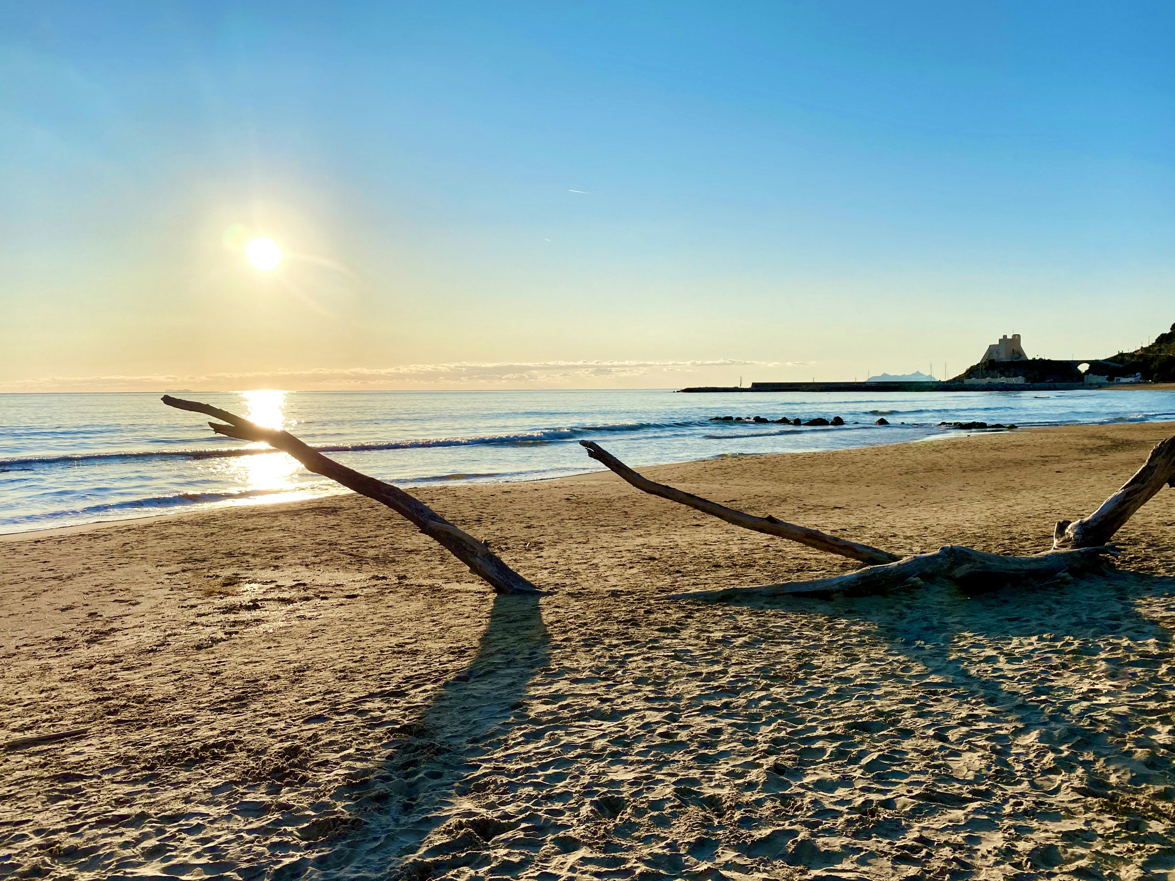 driftwoods on seashore during daytime, Italian landscape at the end of December 