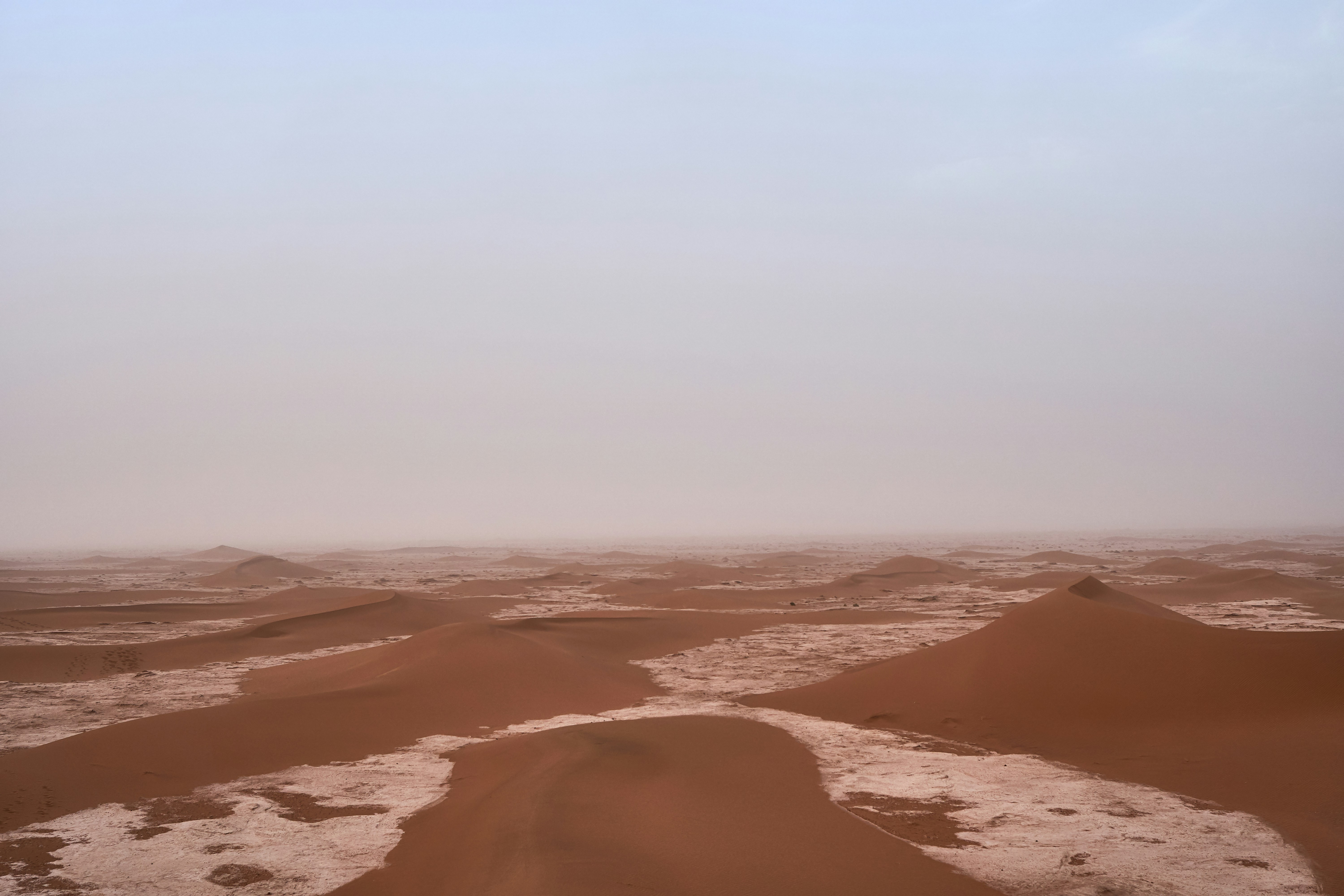 This wild bioplastic made of algae just aced a Mars pressure test. Can astronauts use it to build on the Red Planet? - Space