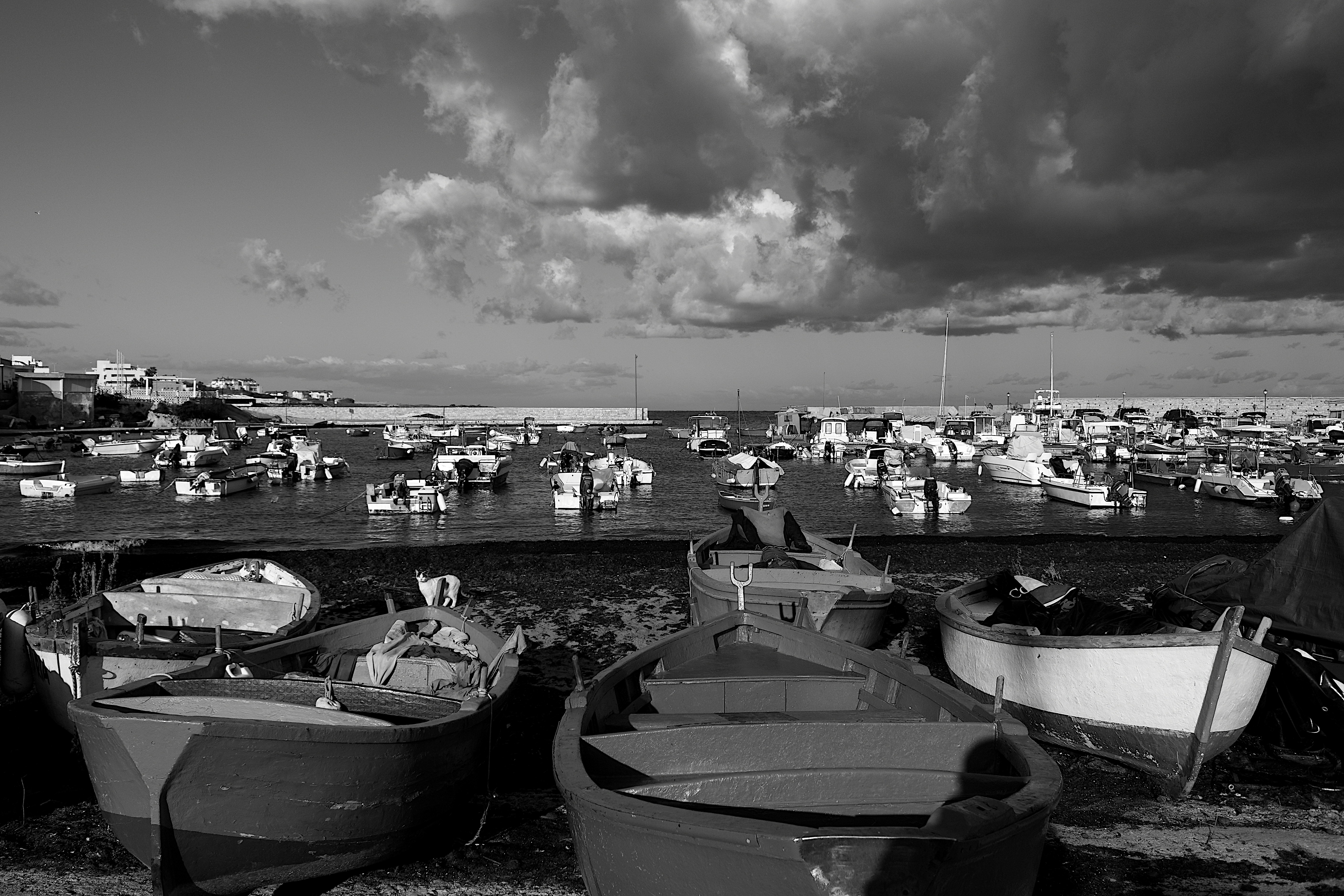 Photo by pronto_studios