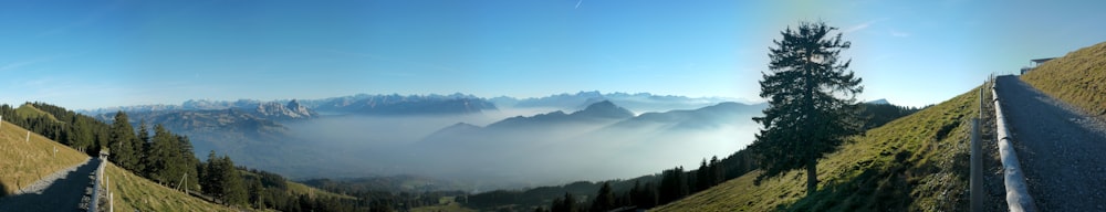 aerial photography of green field viewing mountain during daytime