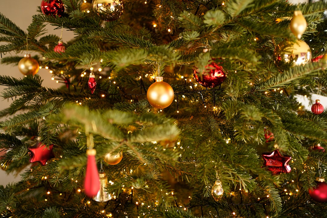 green pine tree with decorations,