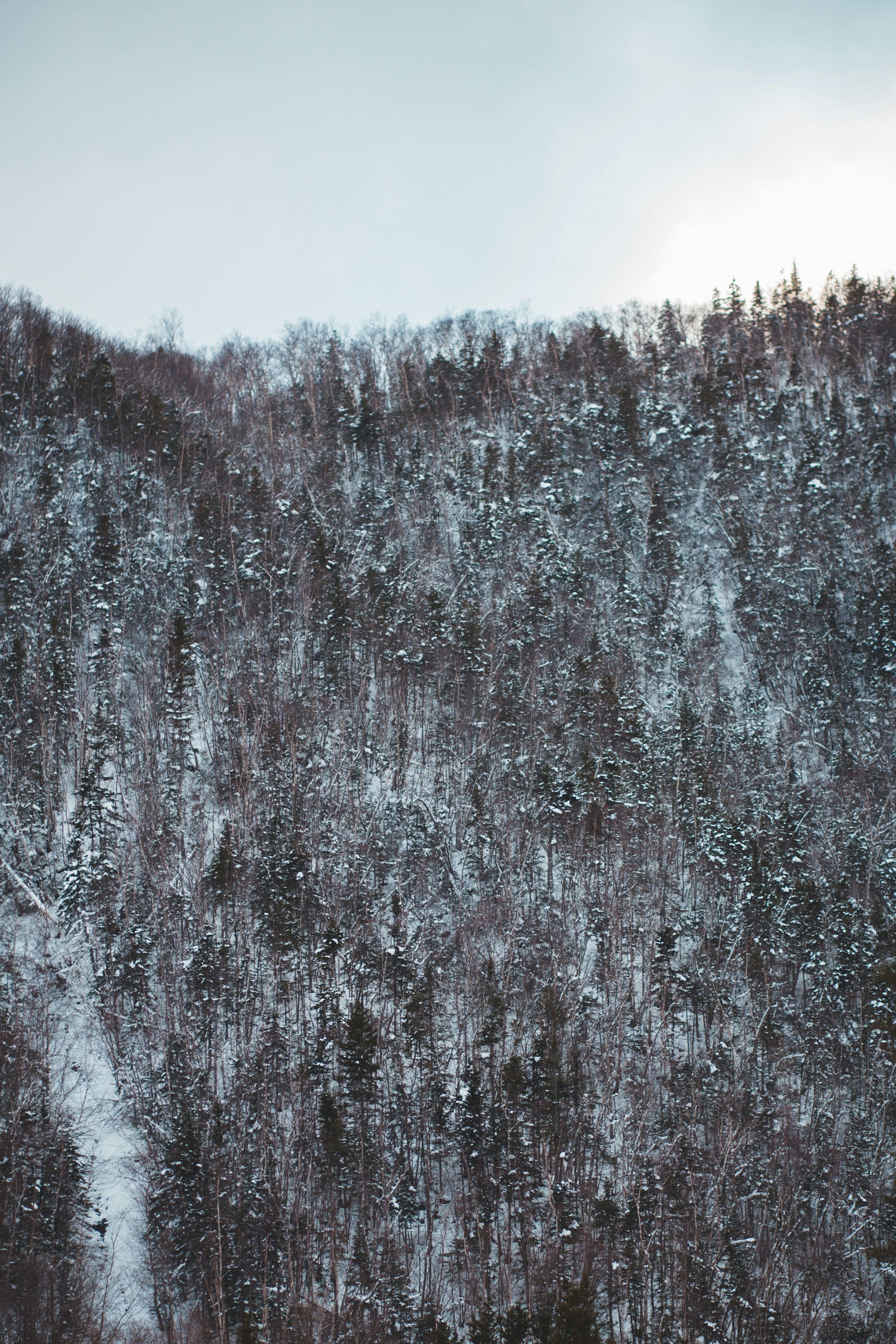 Photo by introspectivedsgn