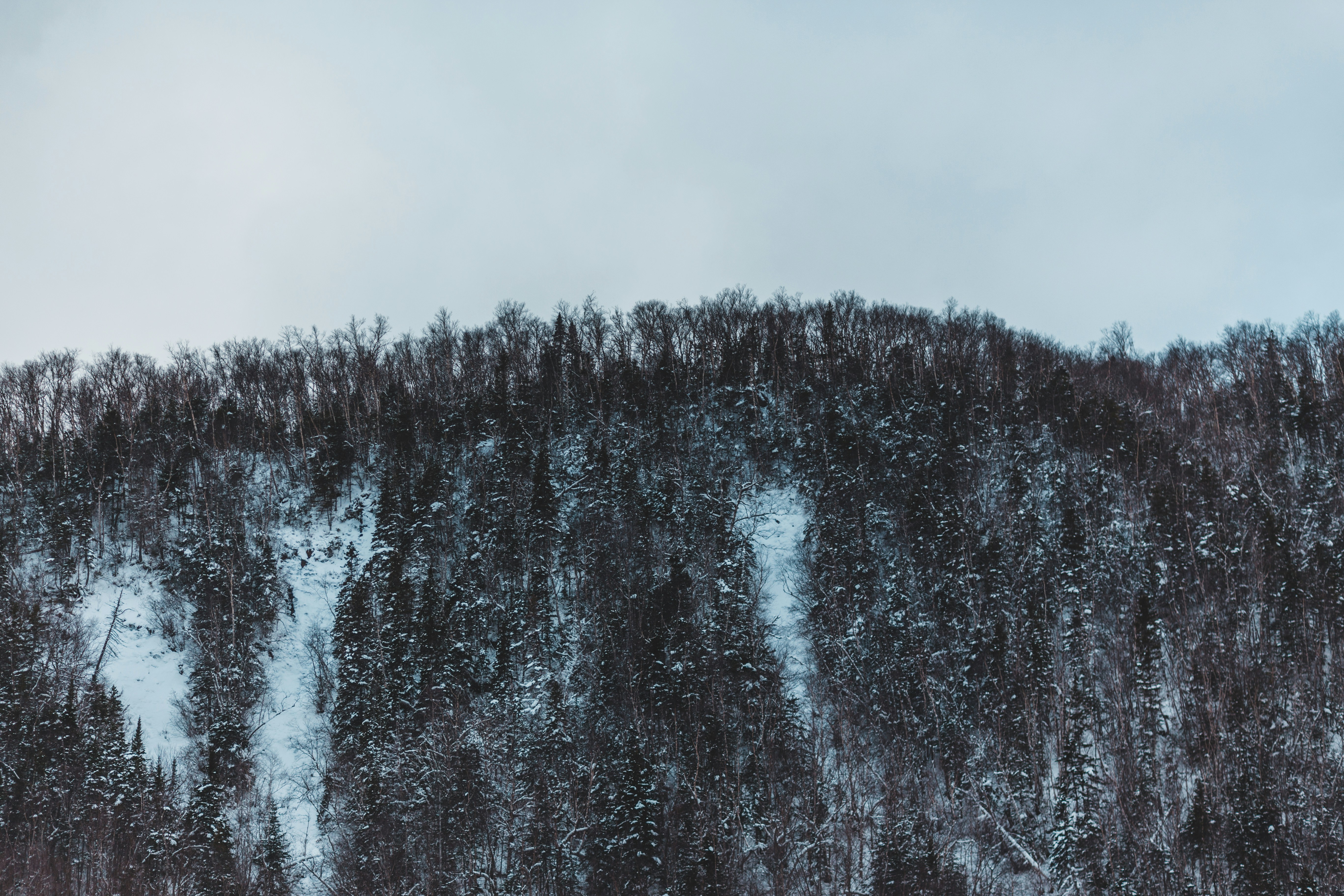 Photo by introspectivedsgn