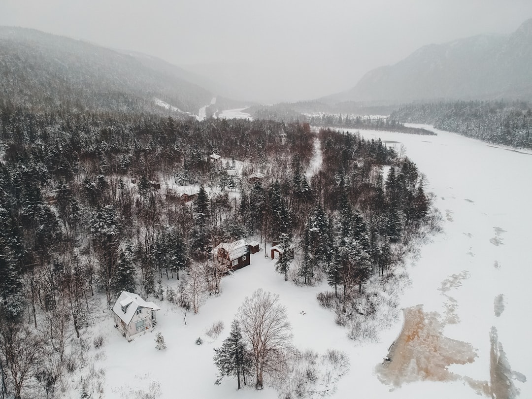 brown house on snowy ground surrounded by trees