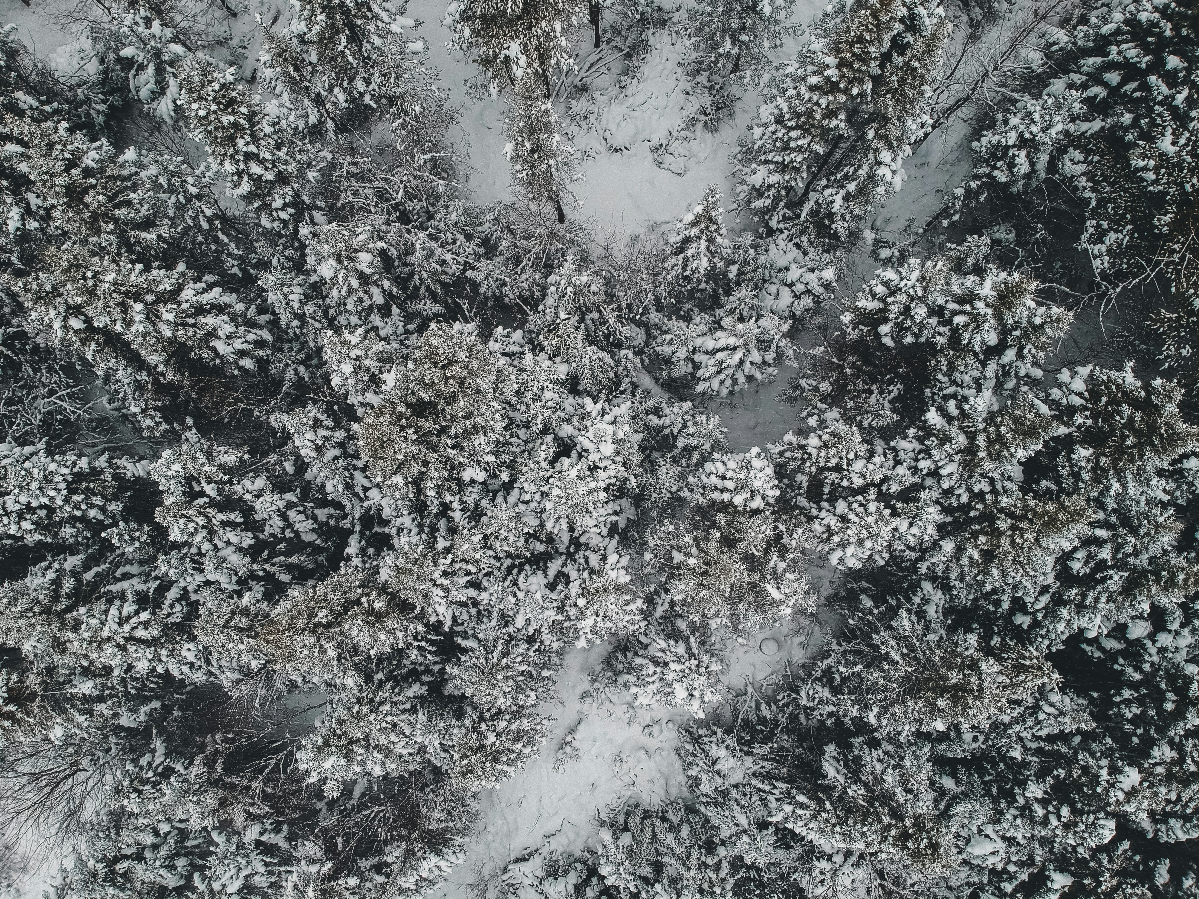 Photo by introspectivedsgn