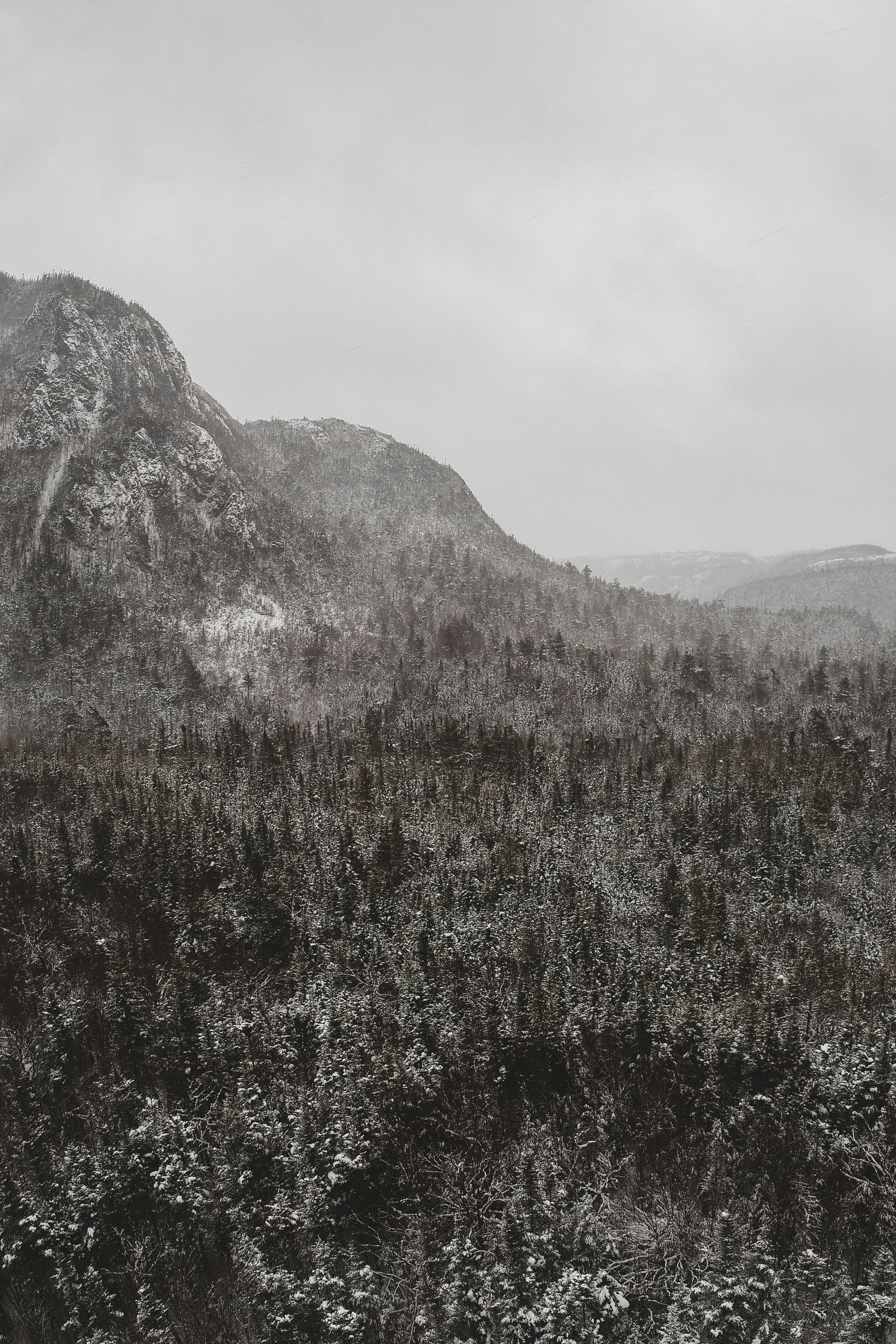 Photo by introspectivedsgn