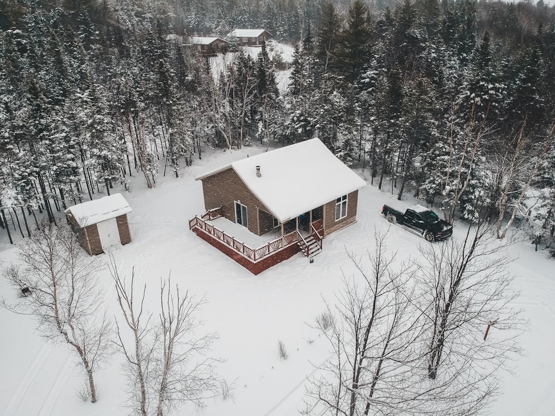 snow covered house surrounded by trees