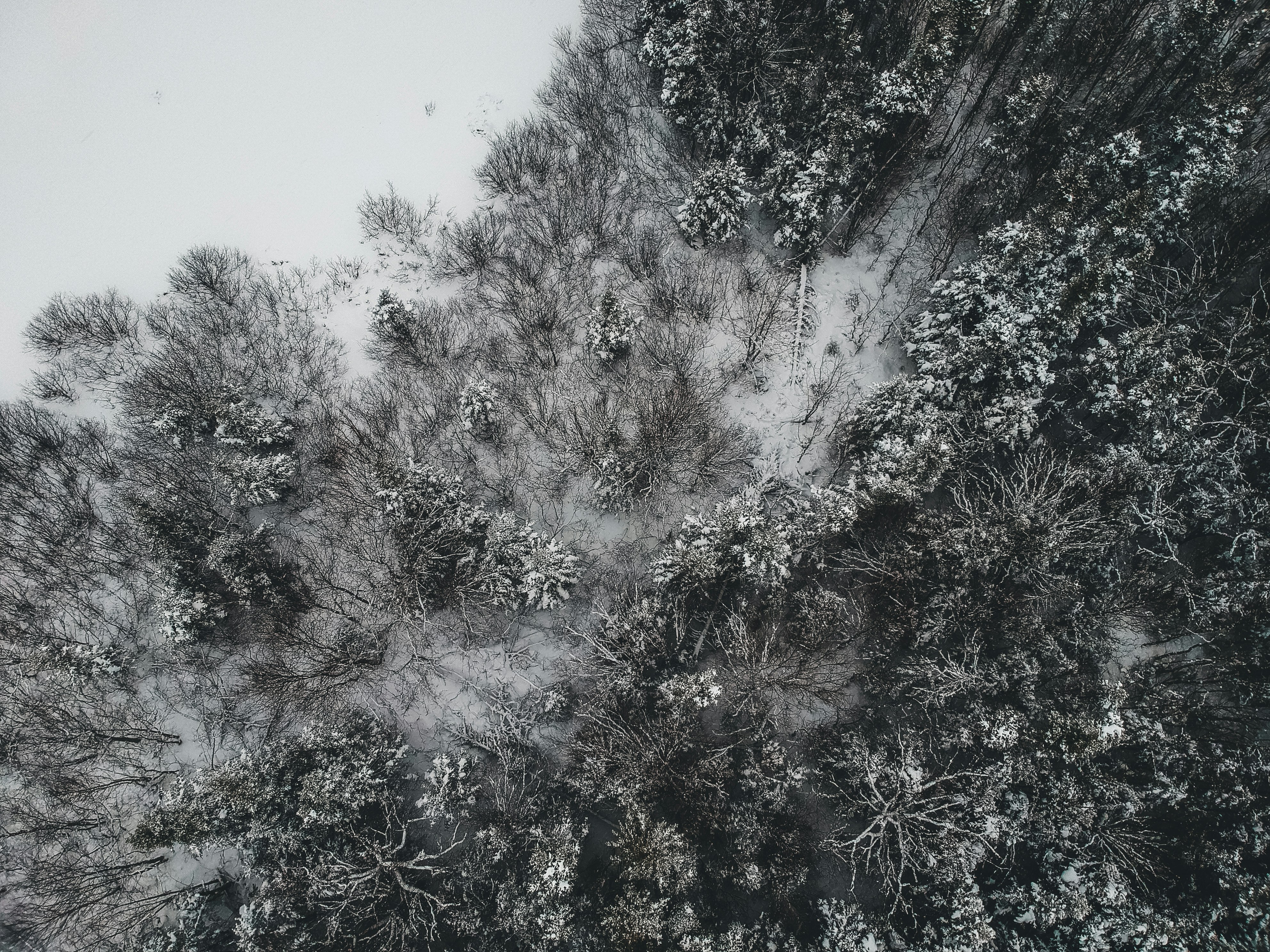 Photo by introspectivedsgn